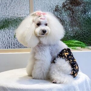 CuteBone Dog Diapers Male Puppy Belly Bands Washable 3 Bands Cute Print New Med.